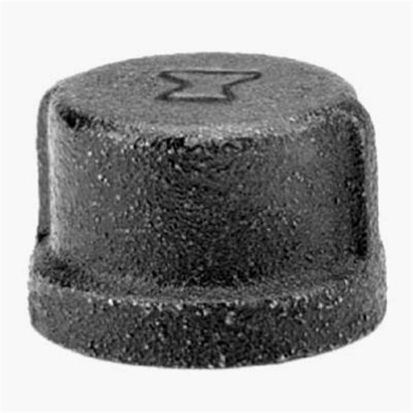 Homecare Products 8700132304 1 in. Black Pipe Cap HO3244339